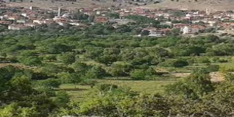 2 Köy Karantinaya Alındı
